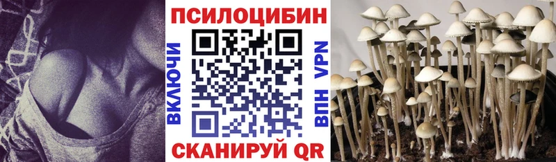 Галлюциногенные грибы GOLDEN TEACHER  сколько стоит  Райчихинск 