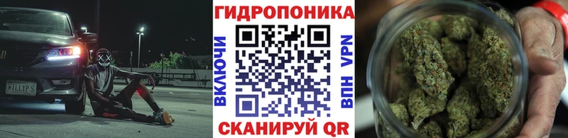 Бошки марихуана MAZAR  где продают   darknet формула  Райчихинск 